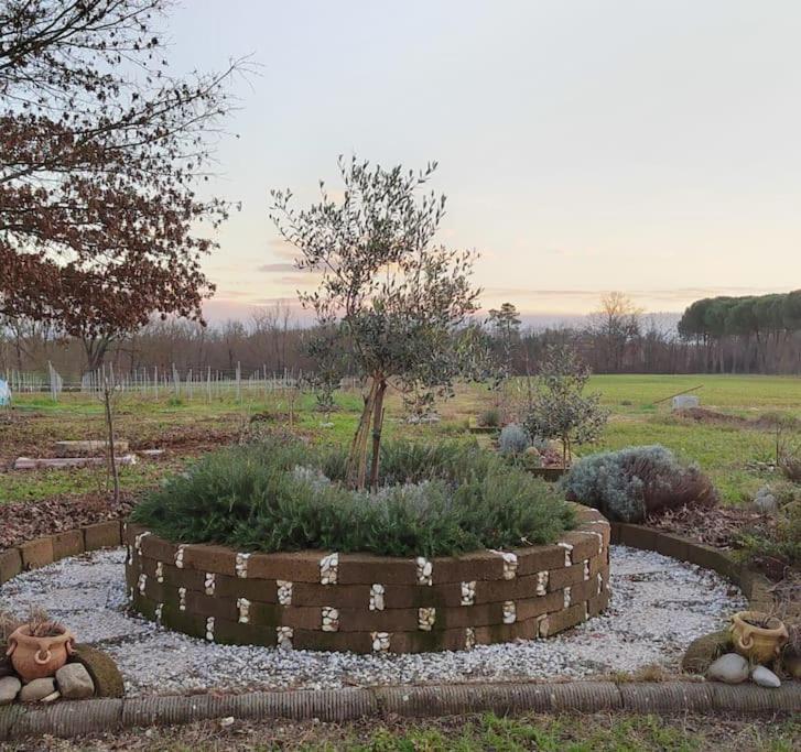 פוצ'קיו Villa Donnola: Casa Rosmarino מראה חיצוני תמונה