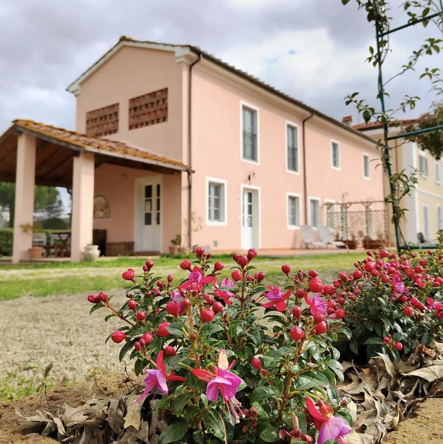 פוצ'קיו Villa Donnola: Casa Rosmarino מראה חיצוני תמונה