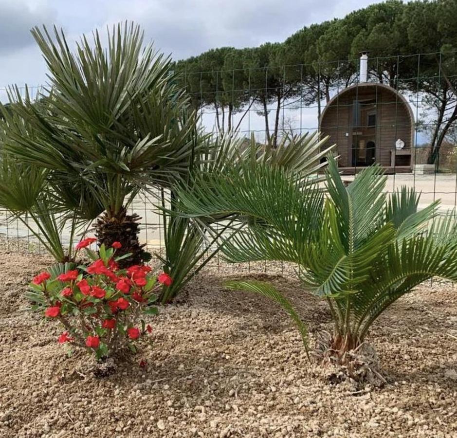 פוצ'קיו Villa Donnola: Casa Rosmarino מראה חיצוני תמונה